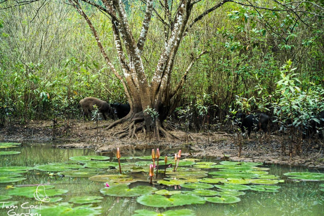 Tam Coc Garden Resort Ninh Bình Kültér fotó