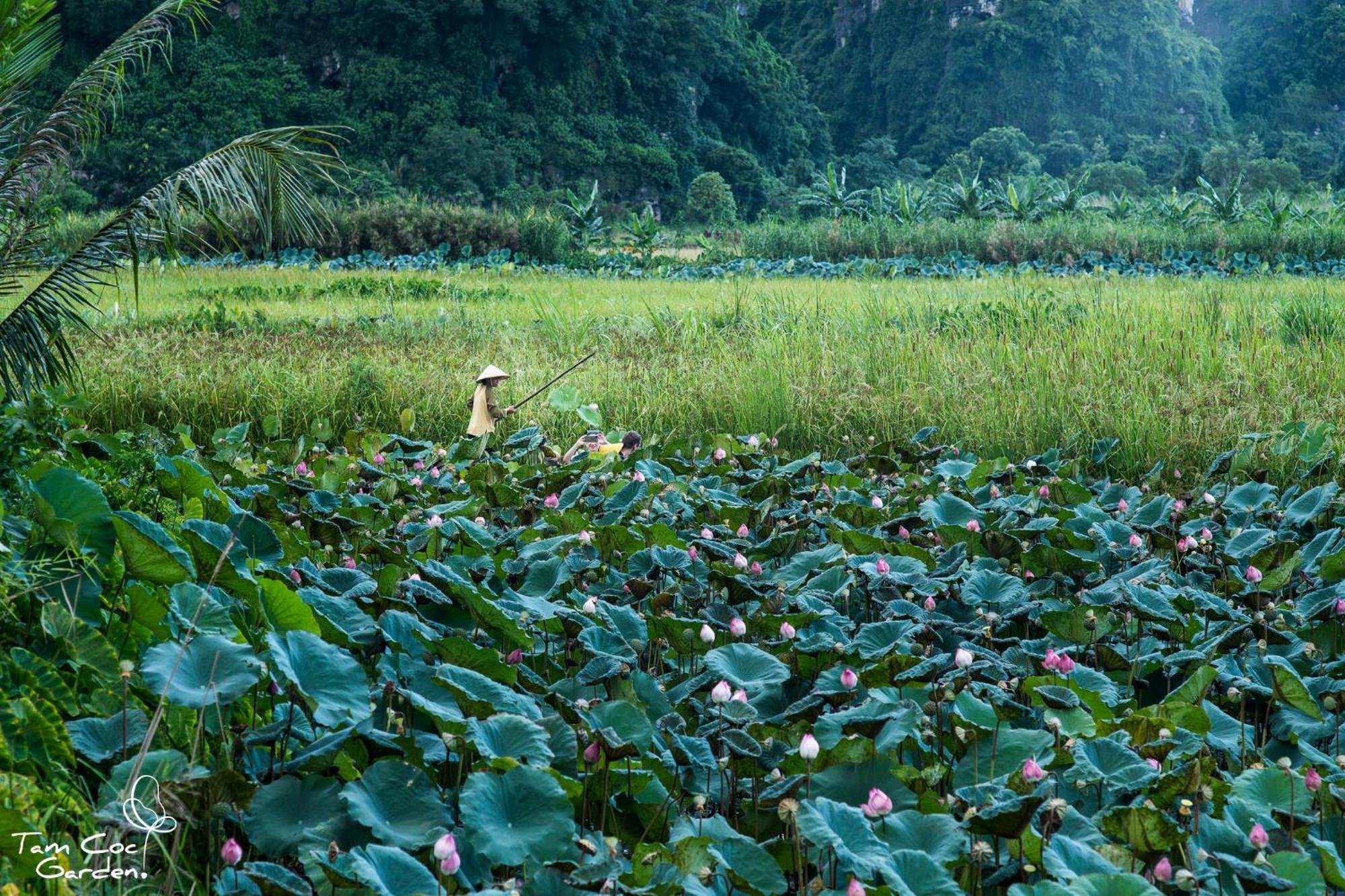 Tam Coc Garden Resort Ninh Bình Kültér fotó