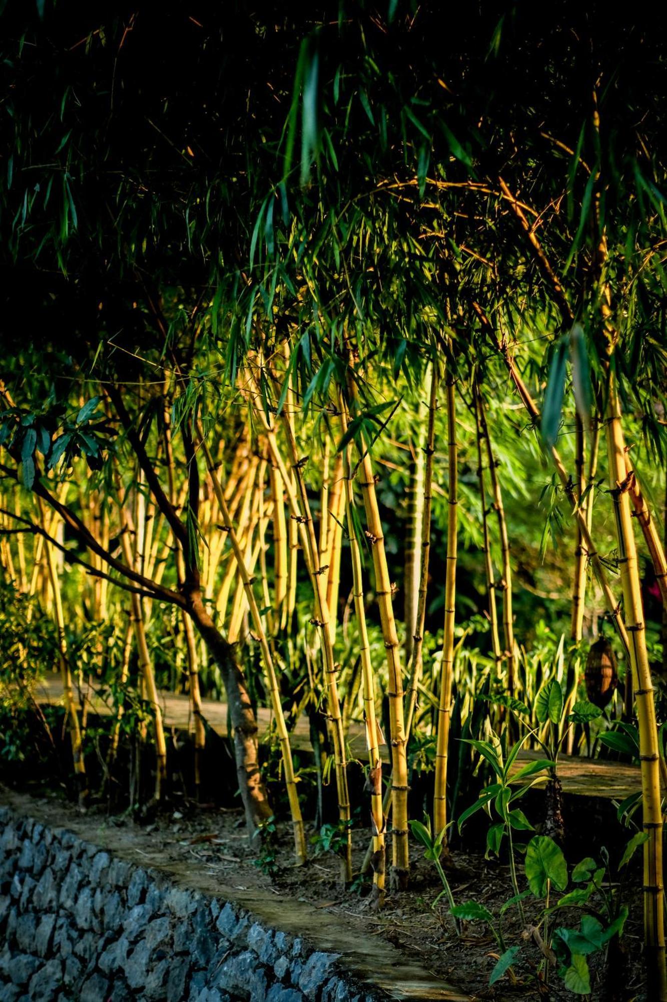 Tam Coc Garden Resort Ninh Bình Kültér fotó